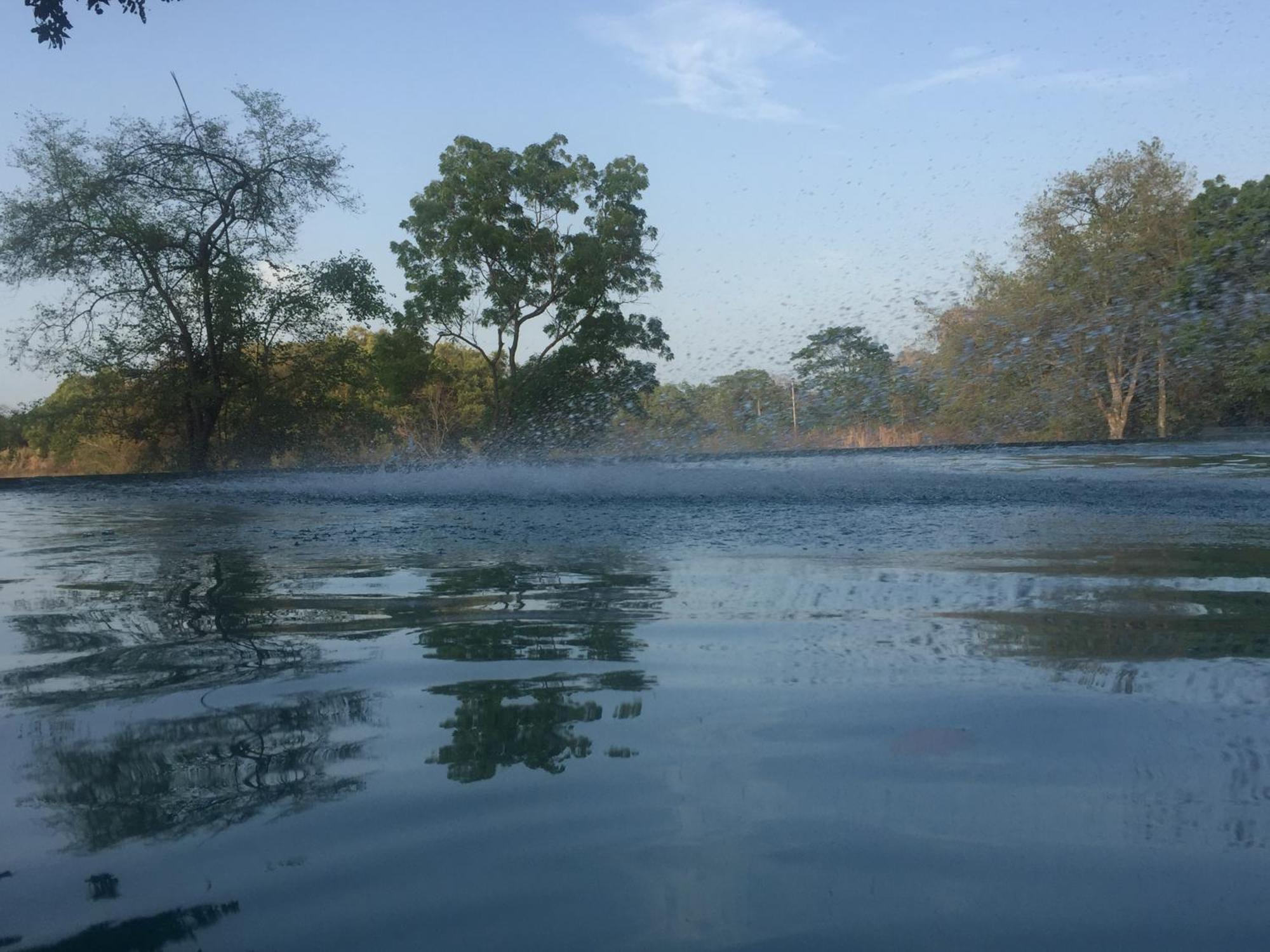 Ehalagala Lake Resort سيغيرِيا المظهر الخارجي الصورة